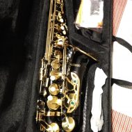 ammoon Alto Saxophone