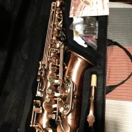 ammoon LADE Pro Alto Saxophone